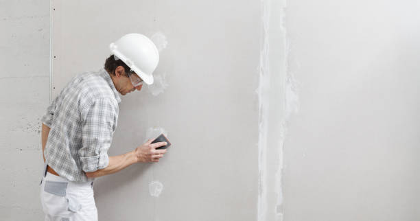 Best Custom Drywall Designs  in Sulphur, LA